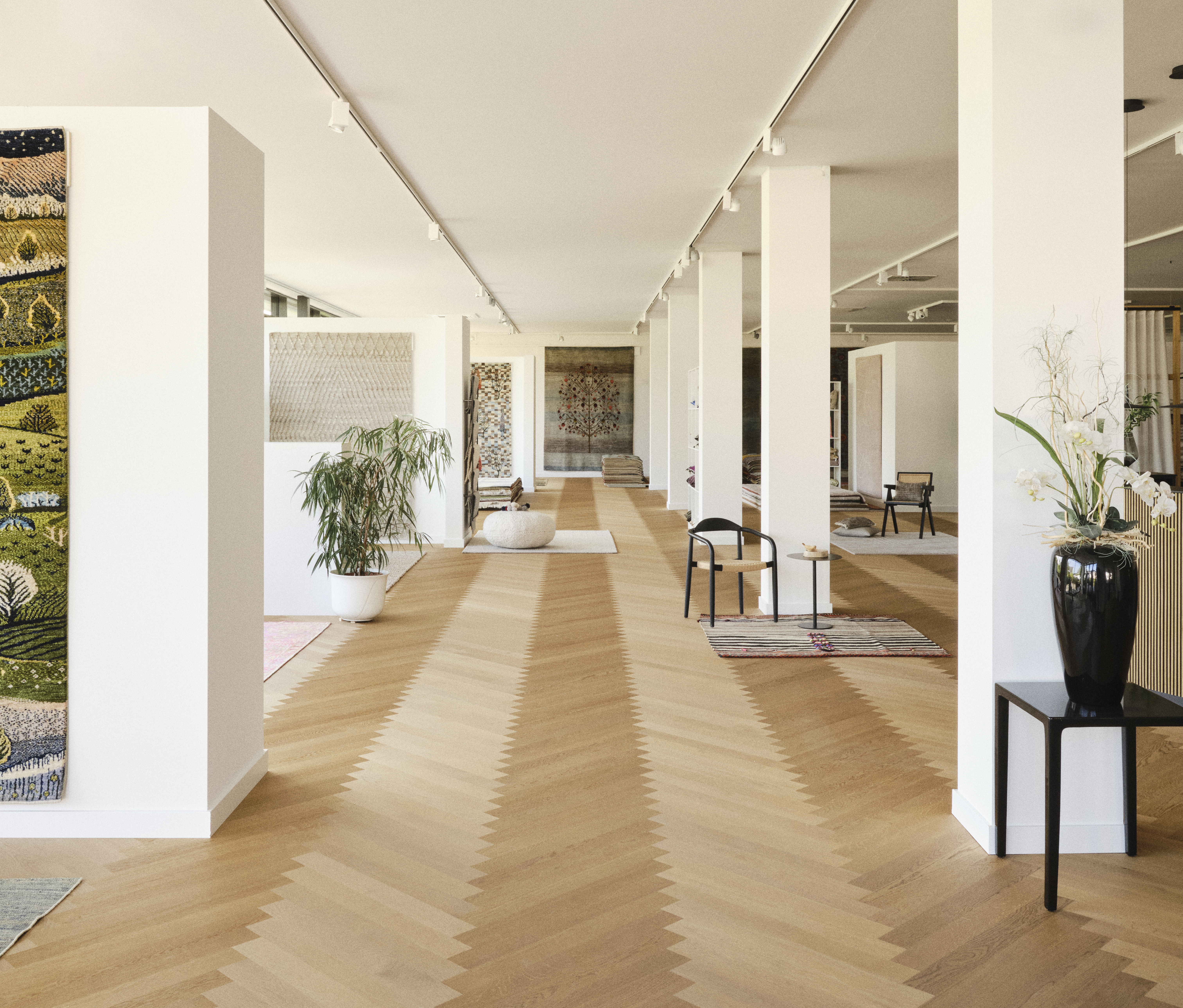 Showroom von Teppich Jordan mit ausgewählten Designteppichen